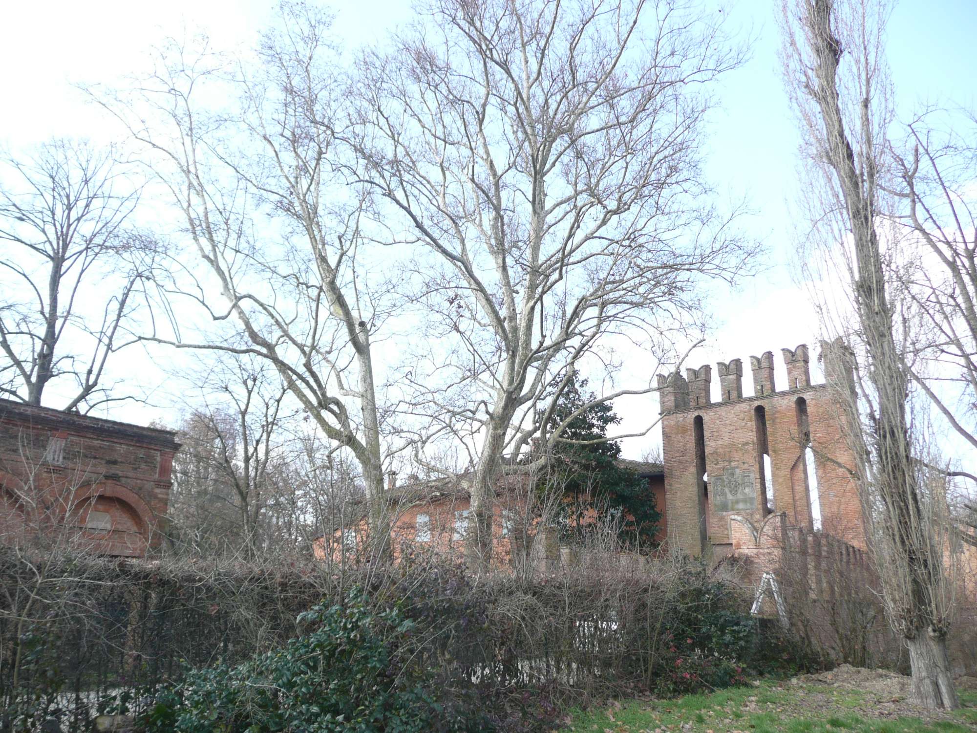 VB S. Martino Soverzano 1 BO